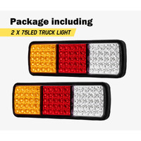 LIGHTFOX Pair LED Vehicle Tail Lights 12V