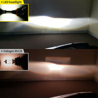 LIGHTFOX Pair H11 H8 H9 Led Headlight Conversion Kit Vehicle Replace Halogen Xenon