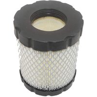 Rgs B&S Cylinder Shaped Air Filter 798897 AIR7885