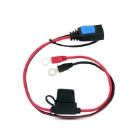 Victron M6 Eyelet Connector (with 30A ATO fuse)