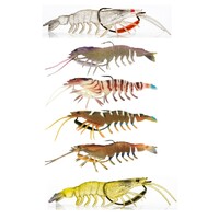 95mm Chasebait Flick Prawn Soft Plastic Fishing Lure with 4gm Lead Weight - Jelly Prawn