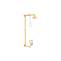 Wall Mounted Safety Shower and Eye/Face Wash Unit