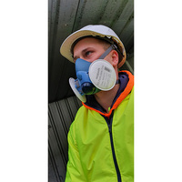 Half Dust Mask Package with P3 Filters Large size