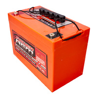 110AH AGM SLA 12V Deep Cycle Dual Purpose Battery
