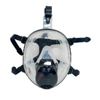 CleanSpace CST Full Face Mask Small