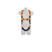 Essential Harness with Quick Release Buckle Standard (M L)