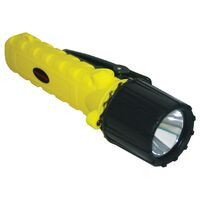 Intrinsically Safe Torch