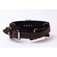 Buckaroo 40" Miners Belt with Back Support CSEB40