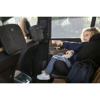 Blueair Cabin P2i Car Air Purifier