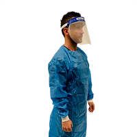 Face shield