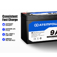 ATEM POWER 12V 9AH AGM Battery AMP Lead Acid SLA Deep Cycle Battery Dual Solar Power