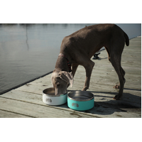 Teal Toadfish Outfitters Non-Tipping Stainless Steel Dog Bowl