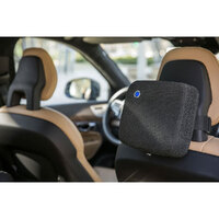 Blueair Cabin P2i Car Air Purifier