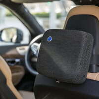 Blueair Cabin P1 Car Air Purifier