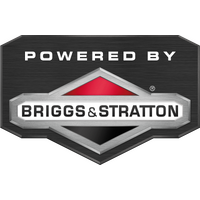Snapper Briggs & Stratton 18V Battery Charger w/ Indicator