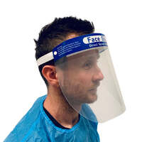 Face shield