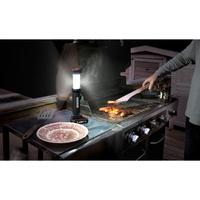 WORX 20V 4-in-1 LED Light Skin Flashlight, Lantern, Desk lamp & SOS function (Tool Only - Battery / Charger sold separately)