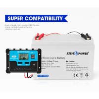 ATEM POWER 20A Solar Charge Controller 12V 24V