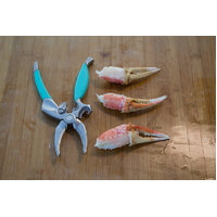 Toadfish Outfitters Stainless Steel Crab Cutter Tool - Evenly Cuts Crab Claws