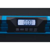 Blue level pro 2 digital