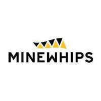 4WD Vehicle 2 Piece Minewhip c/w Reflective Crossed Orange Mesh Flag & Snap On Base