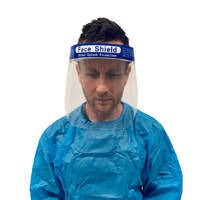 Face shield