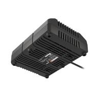 WORX 20V MAX POWERSHARE 4A Dual Port Fast Battery Charger WA3883