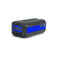 Hyundai 40V Battery Grass Trimmer 13" 2Ah Lithium Battery and Charger