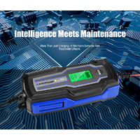 ATEM POWER 4A 6V/12V Smart Battery Charger