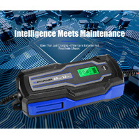 ATEM POWER Smart Battery Charger Trickle 10A 6V/12V