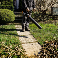 WORX 20V Cordless Turbine Blower 2 speed Battery & Charger included