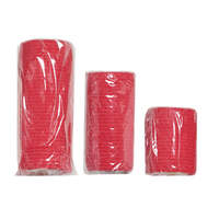 Survival pet first aid kit