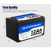 ATEM POWER 12AH 12V AGM Deep Cycle Battery SLA UPS Solar Alarm Toy Camping 4WD