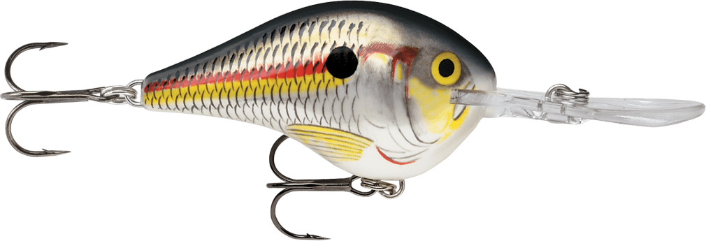 Rapala DT10 (Dives to 10ft) Crankbait Fishing Lure - Shad