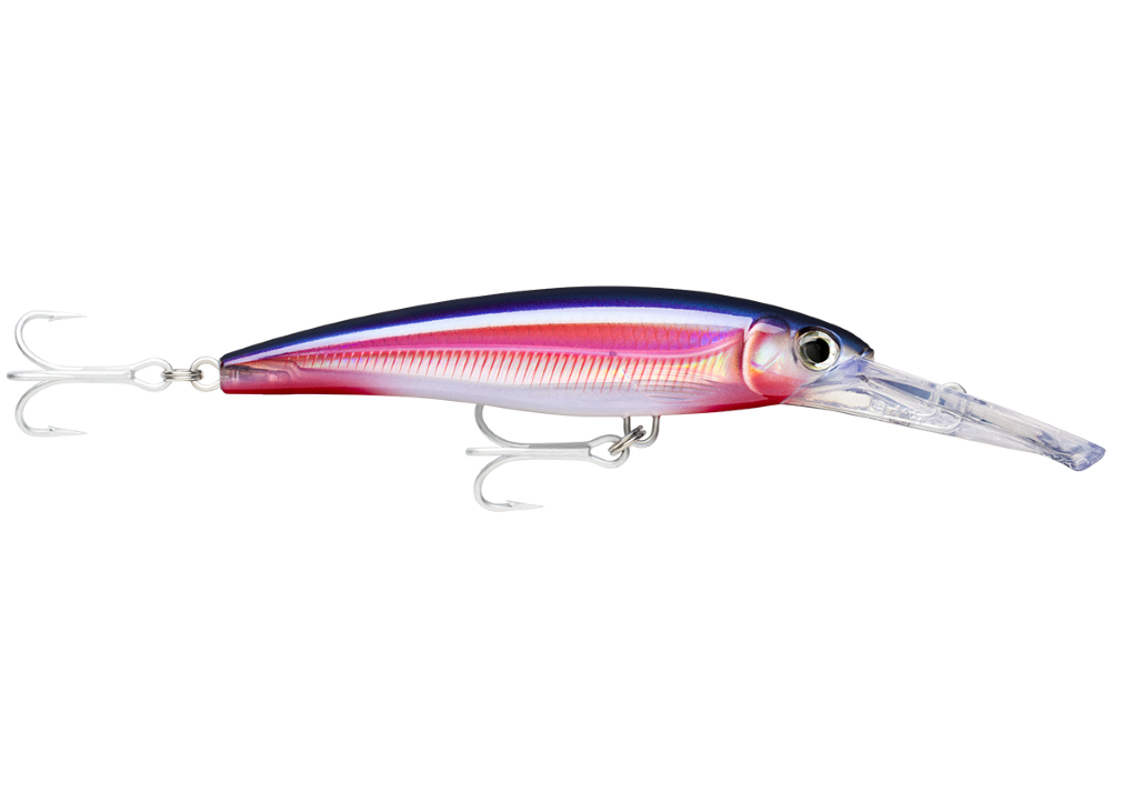 16cm Rapala X-Rap Magnum Deep Diving Trolling Lure - Dives to 30 Feet - HD  Real Red Bait