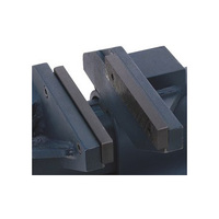 Toledo Bench Vice Replacment Jaws - 100mm 301865A