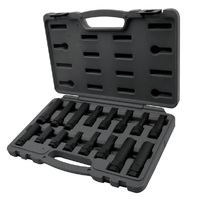Toledo 16 Piece Wheel Lock Socket & Bit Master Set 309249
