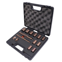 Toledo 14 Piece Wheel Lock Nut Removal Kit 309250