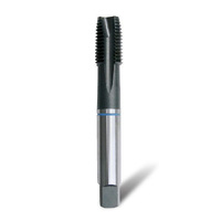 Bordo 24 x 3.0mm Blue Band Spiral Point Tap 3150-24.00