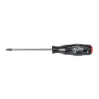 Toledo T30 x 125mm Tamperproof Torx 321917