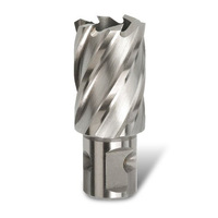Bordo 28 x 25mm HSS-M2Al Annular Cutter 7400-28X25