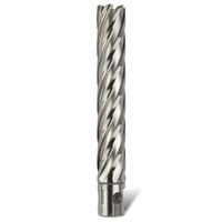 Bordo 56 x 100mm HSS-M2Al Annular Cutter 7400-56X100