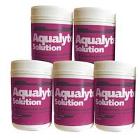 Aqualyte Berry 480g Tubs 5x Pack