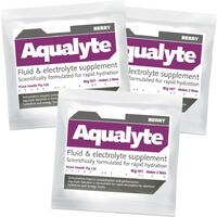 Aqualyte Berry 80g Sachets 20x Pack