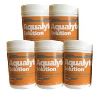 Aqualyte Orange Citrus 480g Tubs 5x Pack