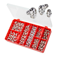 Torres 100pc Grease Nipples - Large Kit AAK16