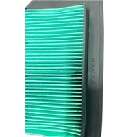 Rgs Honda Filter Panel (Green) AIR6223