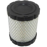 Rgs B&S Cylinder Shaped Air Filter 798897 AIR7885