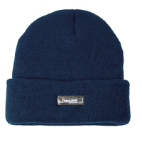 DENTS THINSULATE Pull On Beanie Winter Warm Ski Knit Thermal Insulated Hat - Navy Blue