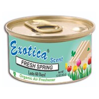Exotica Scent Fresh Spring Car Air Freshener Pack of 1